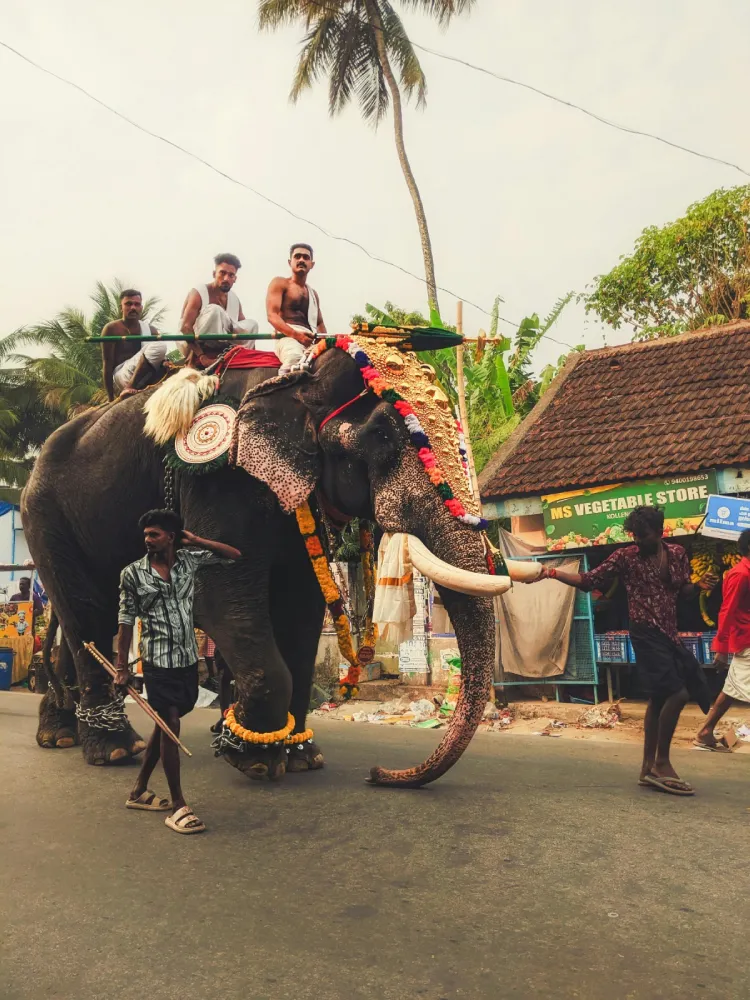 Image hover effect image