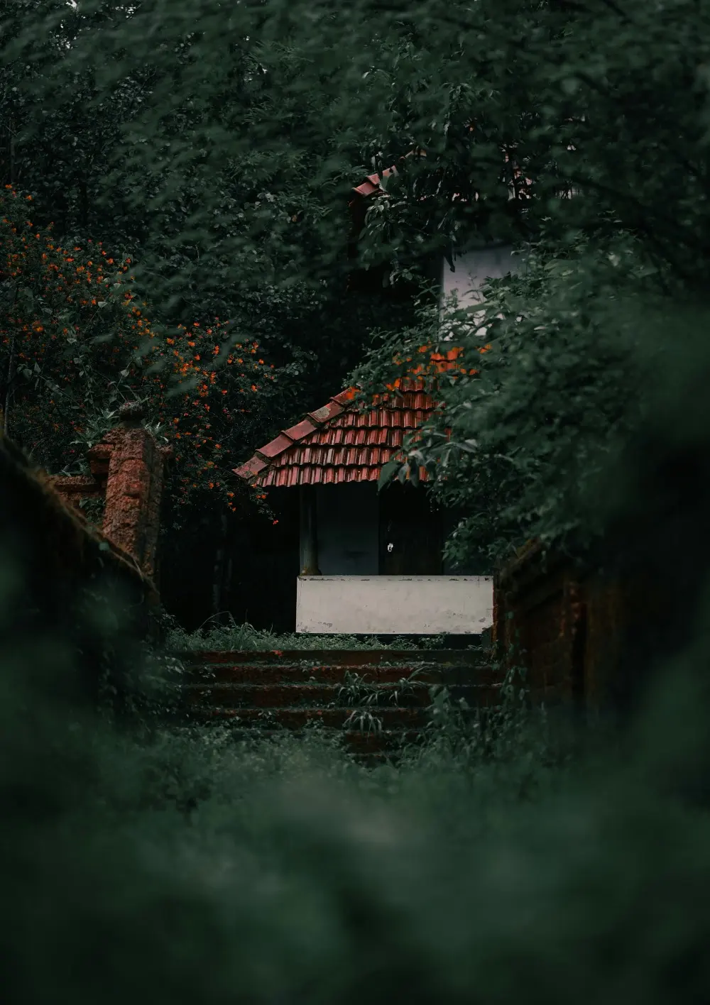 Image hover effect image